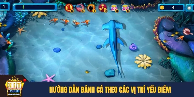 Hướng dẫn đánh cá theo các vị trí yếu điểm 