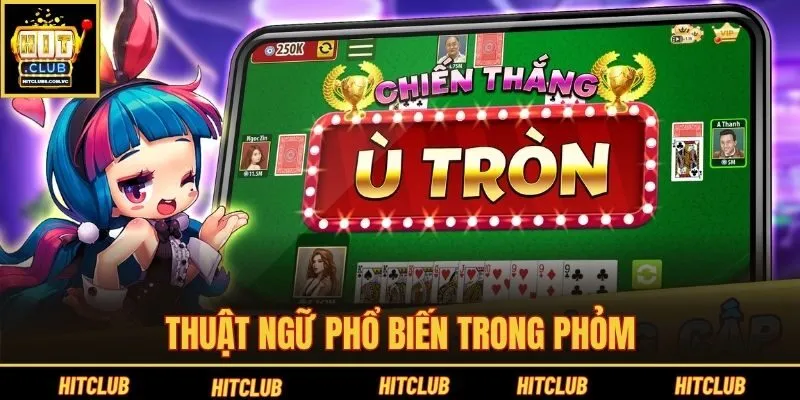 Thuật ngữ phổ biến trong Phỏm
